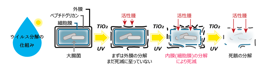 光触媒によるウイルス分解の仕組み