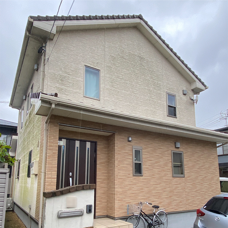 藻・苔・カビの発生